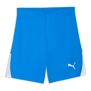 Puma teamLIGA26 Shorts - Senior