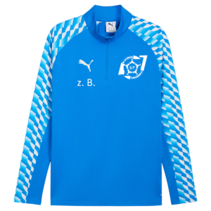 Puma teamLiga26 1/4 Zip Top 2026 - Junior
